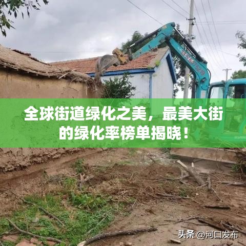 全球街道绿化之美，最美大街的绿化率榜单揭晓！
