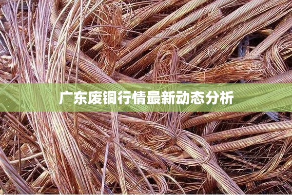 广东废铜行情最新动态分析