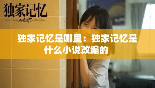 独家记忆是哪里：独家记忆是什么小说改编的 