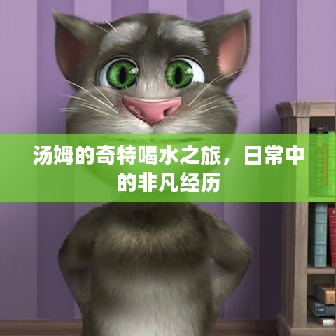 汤姆的奇特喝水之旅，日常中的非凡经历