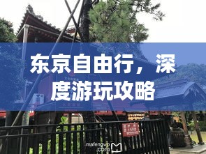 东京自由行，深度游玩攻略