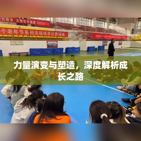 力量演变与塑造，深度解析成长之路