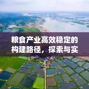 粮食产业高效稳定的构建路径，探索与实践