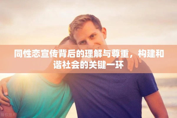 同性恋宣传背后的理解与尊重，构建和谐社会的关键一环