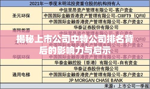 揭秘上市公司中特公司排名背后的影响力与启示