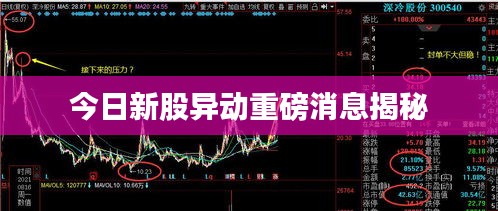 今日新股异动重磅消息揭秘