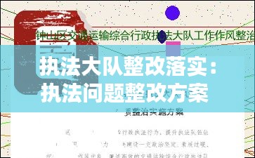 执法大队整改落实：执法问题整改方案 