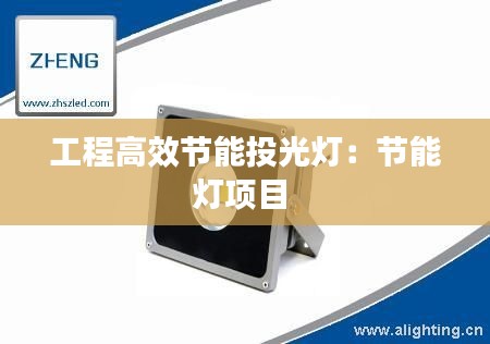 工程高效节能投光灯：节能灯项目 