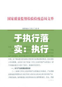 于执行落实：执行落实方面存在的问题及整改措施 
