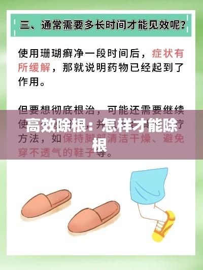 高效除根：怎样才能除根 