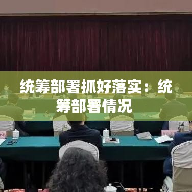 统筹部署抓好落实：统筹部署情况 
