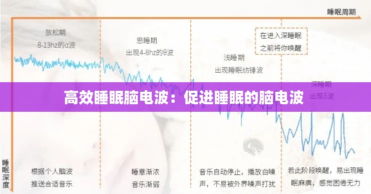 高效睡眠脑电波：促进睡眠的脑电波 