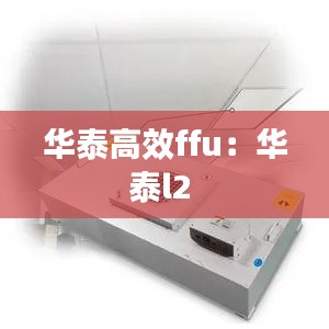 华泰高效ffu：华泰l2 