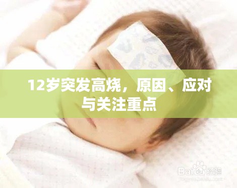 12岁突发高烧，原因、应对与关注重点