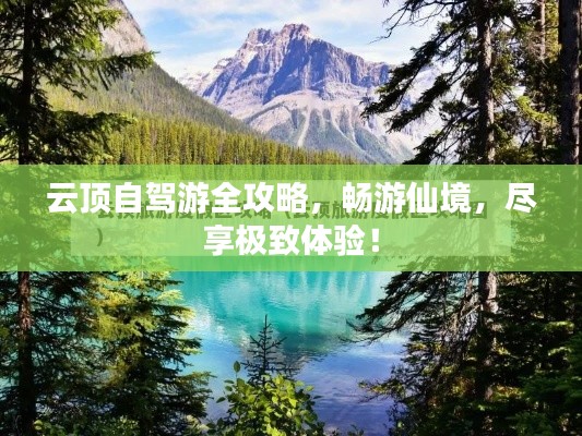 云顶自驾游全攻略，畅游仙境，尽享极致体验！