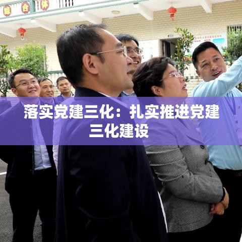 落实党建三化：扎实推进党建三化建设 