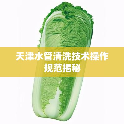 天津水管清洗技术操作规范揭秘