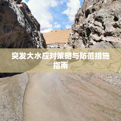 突发大水应对策略与防范措施指南