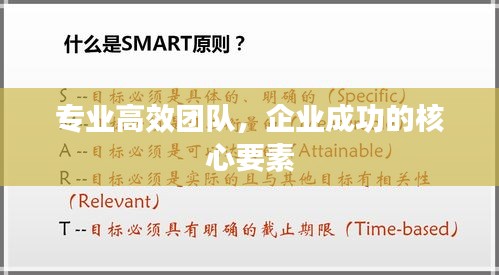 专业高效团队，企业成功的核心要素