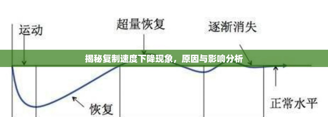 揭秘复制速度下降现象，原因与影响分析