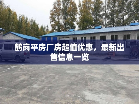 鹤岗平房厂房超值优惠，最新出售信息一览
