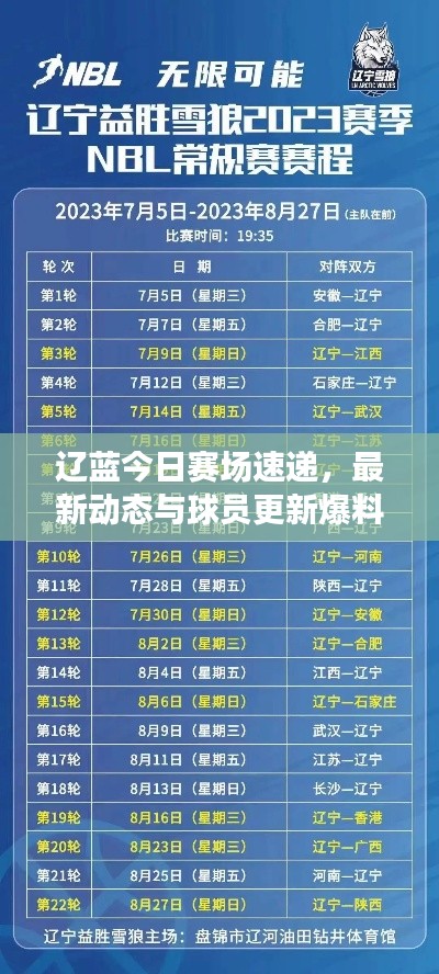 辽蓝今日赛场速递，最新动态与球员更新爆料
