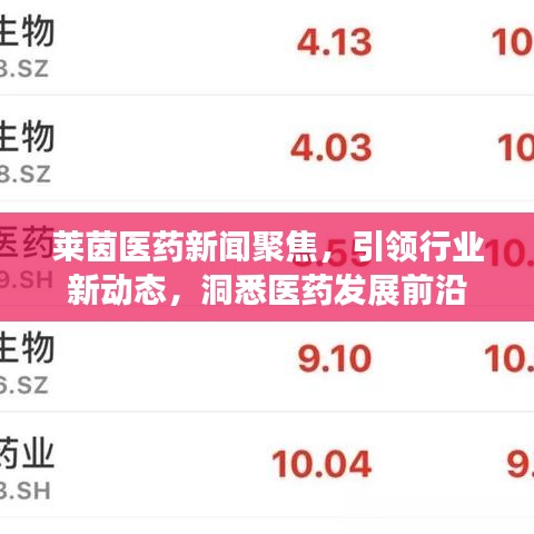 莱茵医药新闻聚焦，引领行业新动态，洞悉医药发展前沿