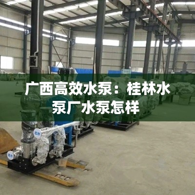 广西高效水泵：桂林水泵厂水泵怎样 