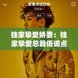 独家挚爱娇妻：独家挚爱总裁低调点 