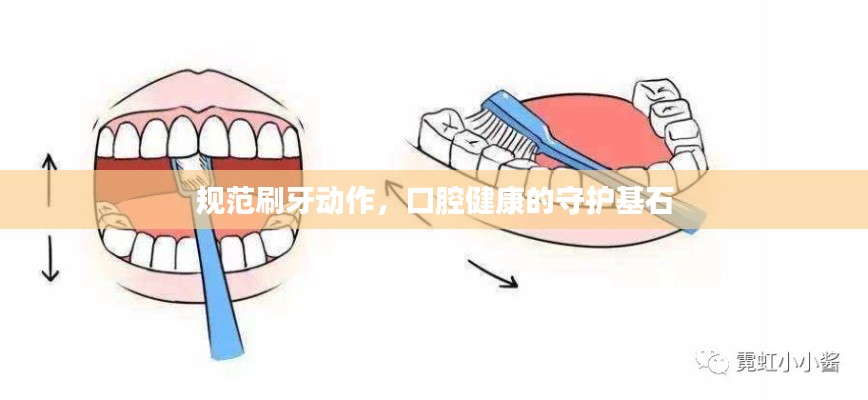 规范刷牙动作，口腔健康的守护基石
