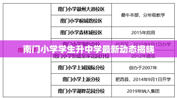 南门小学学生升中学最新动态揭晓
