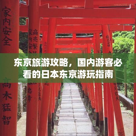 东京旅游攻略，国内游客必看的日本东京游玩指南