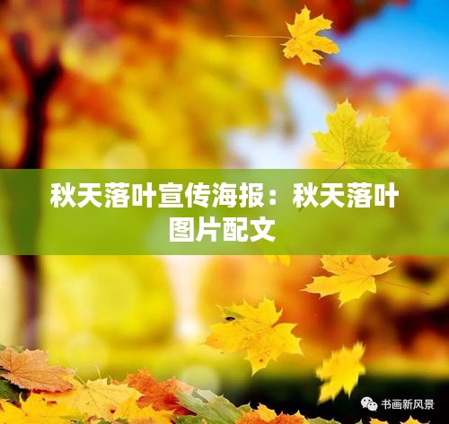 秋天落叶宣传海报：秋天落叶图片配文 