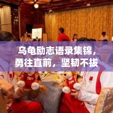 乌龟励志语录集锦，勇往直前，坚韧不拔！
