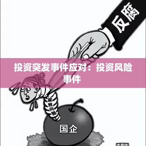 投资突发事件应对：投资风险事件 