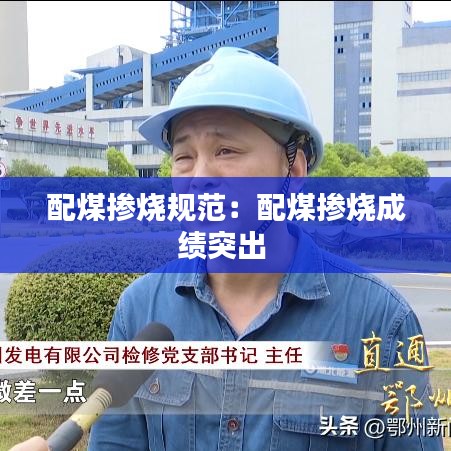 配煤掺烧规范：配煤掺烧成绩突出 