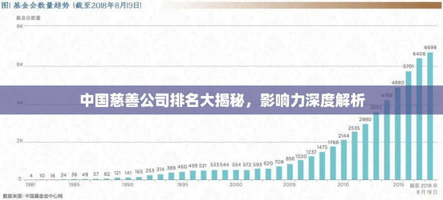 中国慈善公司排名大揭秘，影响力深度解析