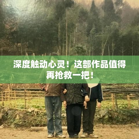深度触动心灵！这部作品值得再抢救一把！