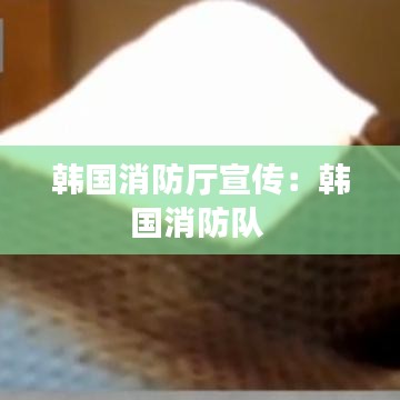 韩国消防厅宣传：韩国消防队 