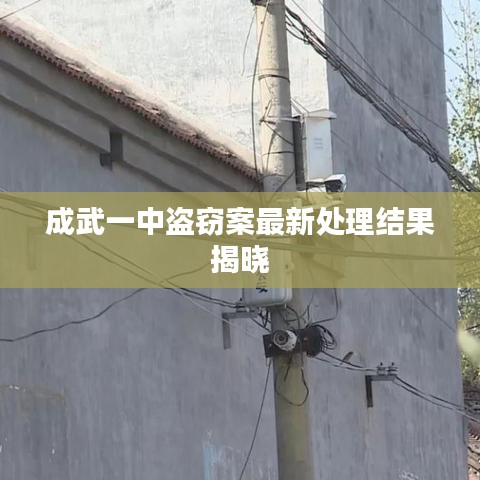 成武一中盗窃案最新处理结果揭晓