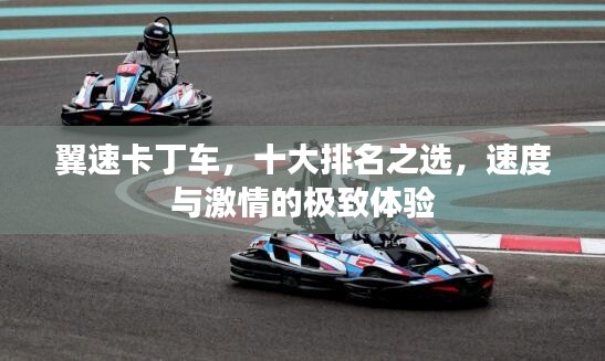 翼速卡丁车，十大排名之选，速度与激情的极致体验