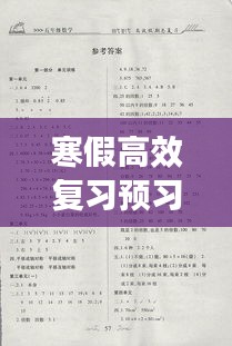 寒假高效复习预习： 
