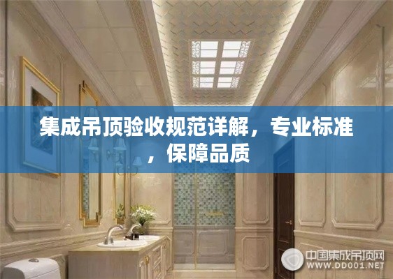 集成吊顶验收规范详解，专业标准，保障品质