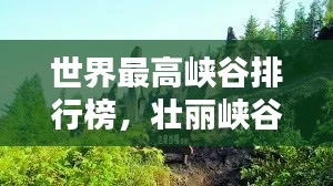 池鱼笼鸟 第2页