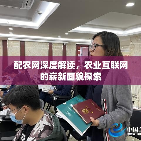 配农网深度解读，农业互联网的崭新面貌探索