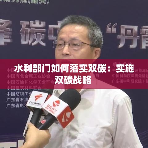 水利部门如何落实双碳：实施双碳战略 
