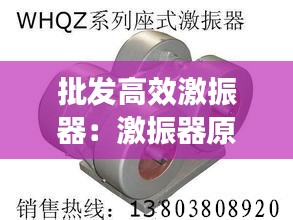 批发高效激振器：激振器原理 