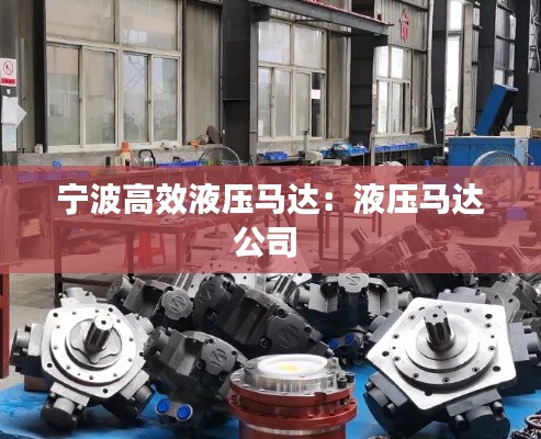 宁波高效液压马达：液压马达公司 