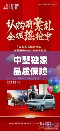 中墅独家品质保障，服务至上独特体验，让您尽享无忧购物之旅！