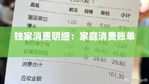 独家消费明细：家庭消费账单 
